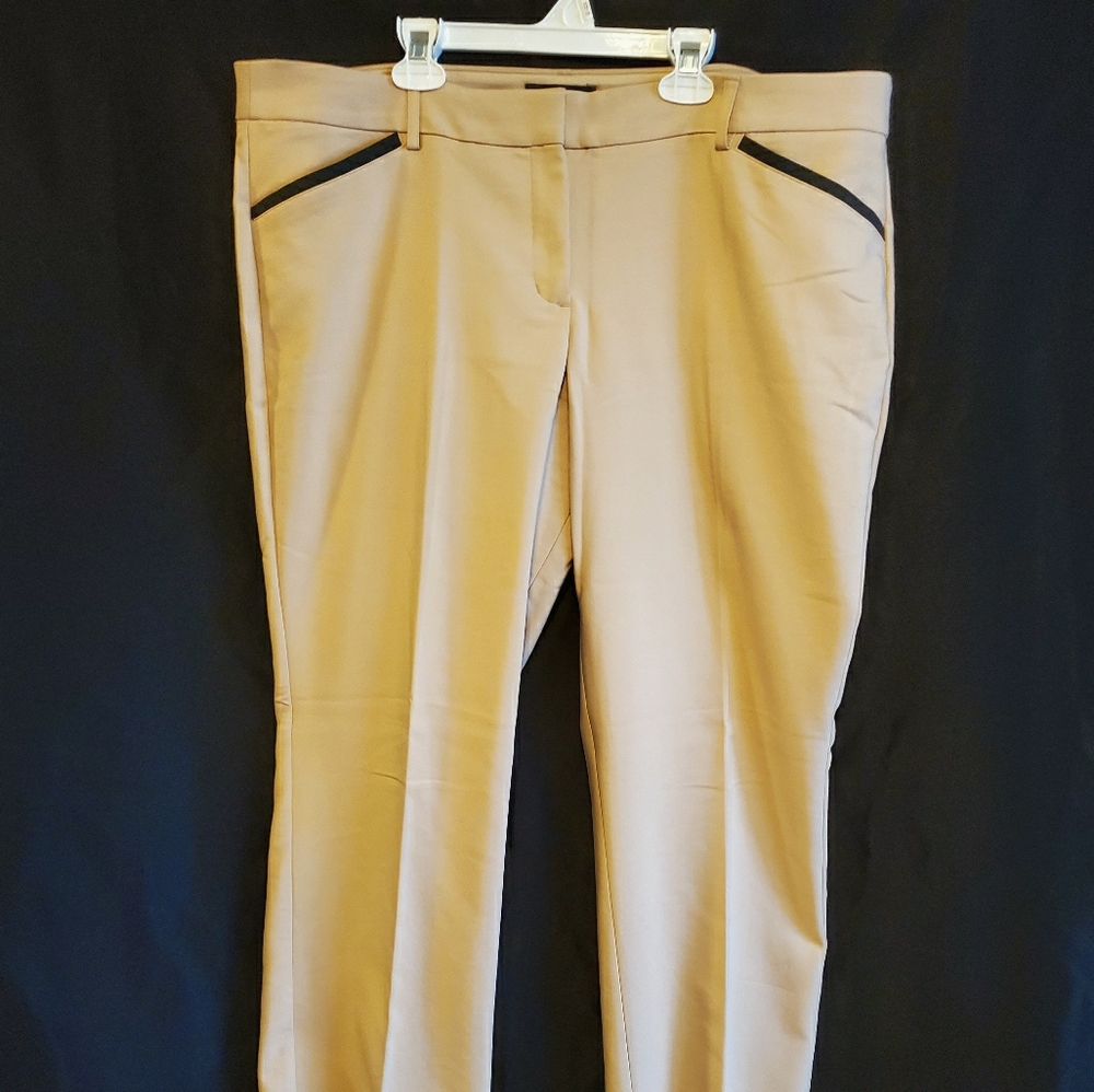 Editor Barely Boot Low Rise Dress Pants